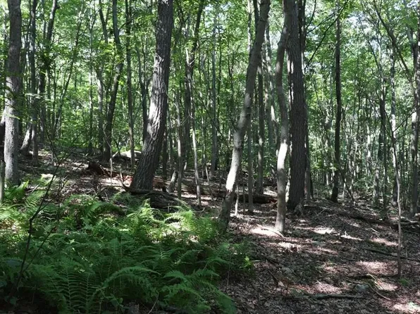 LOT 312 Ridge Run, Claysburg, PA 16625