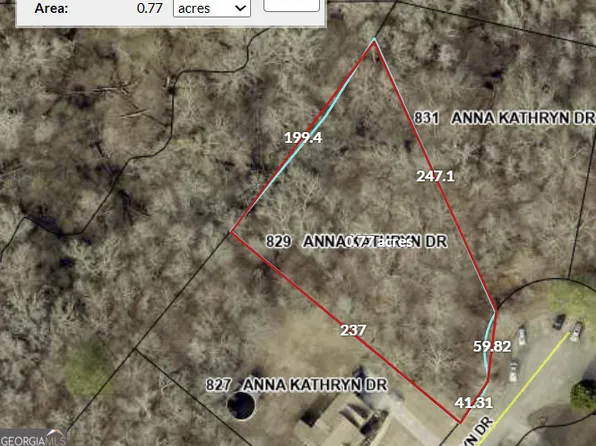 829 Anna Kathryn Dr, Stockbridge, GA 30281