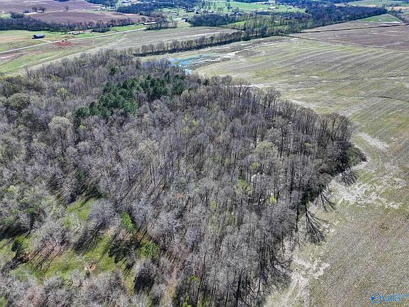 3rd image of 90/ACRE S County Road 39