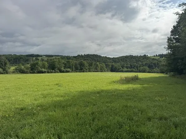 0 Riggs Rd, Ulster, PA 18850