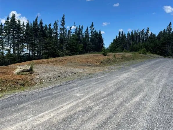 154 Prison Camp Road, Salmonier, NL A0A0A0