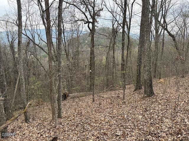 1st image of 0 Bear Mountain Ln