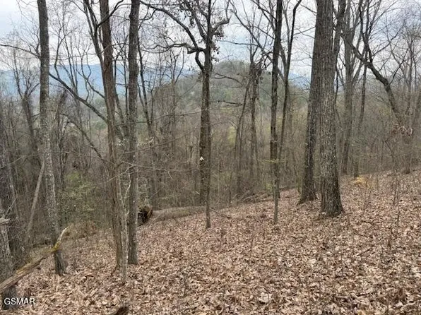 0 Bear Mountain Ln, Sevierville, TN 37876