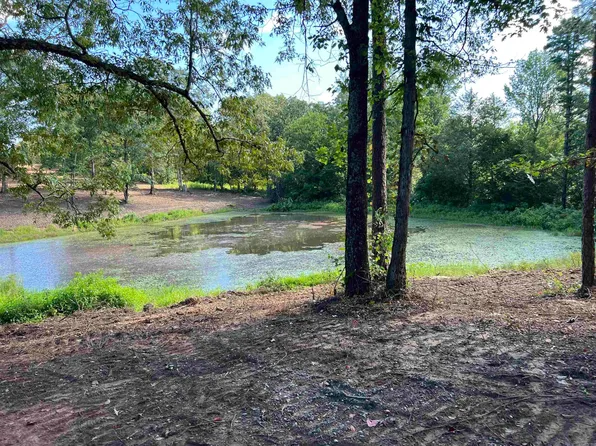 300 Cooper Rd N, Concord, AR 72523