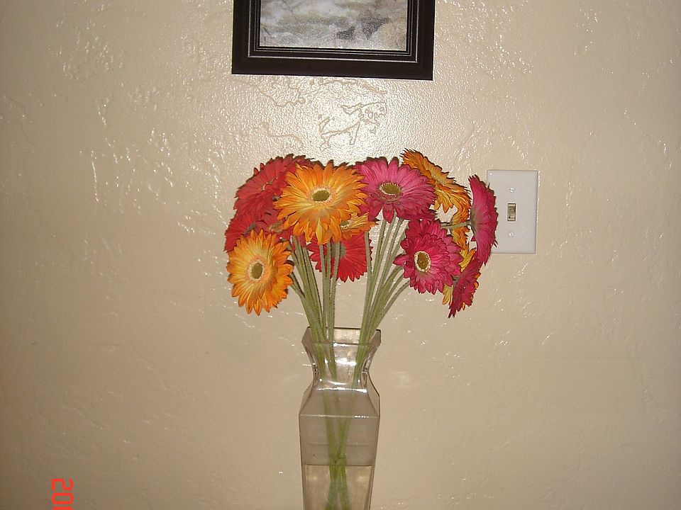 2nd image of 4109 Krista Ct