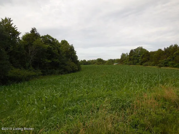 2131 Hickory Corner Rd, Pleasureville, KY 40057