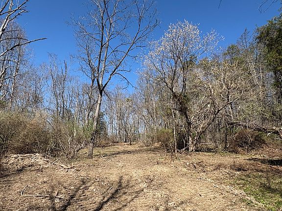 4th image of Pinhook Rd