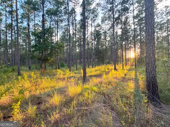 0 Pelham Rd, Climax, GA 39834