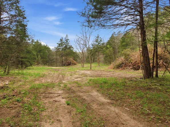 Tract3 W Highway 32, Licking, MO 65542