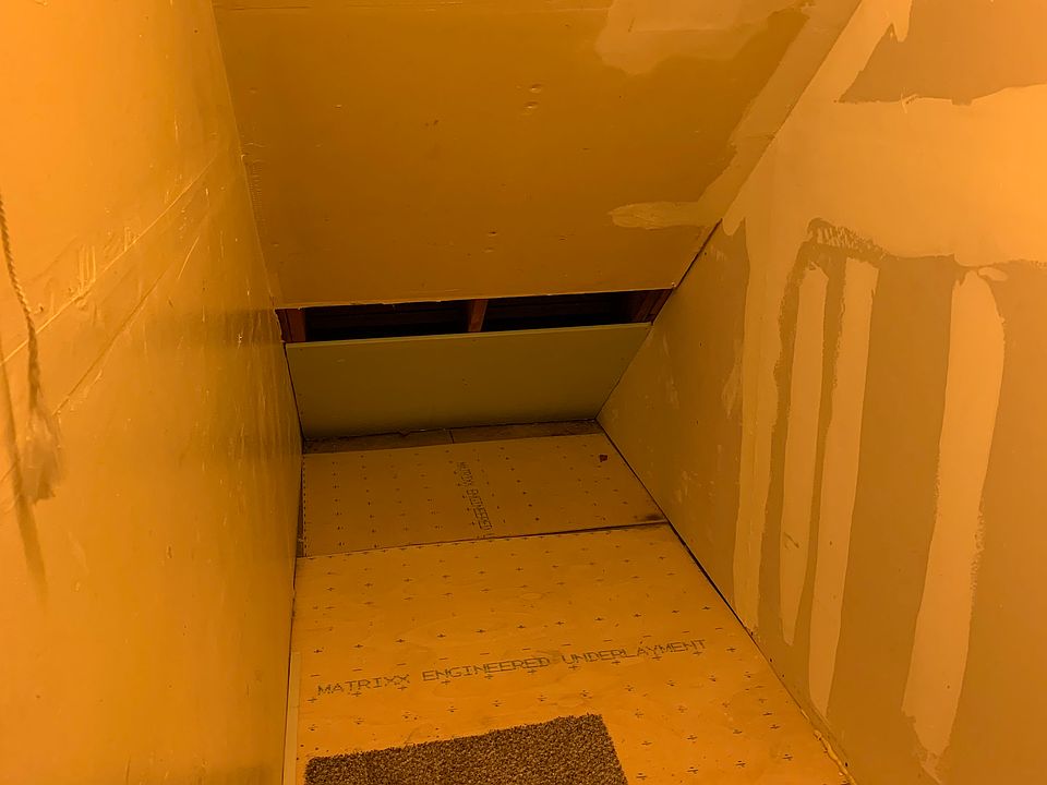Storage in living room closet