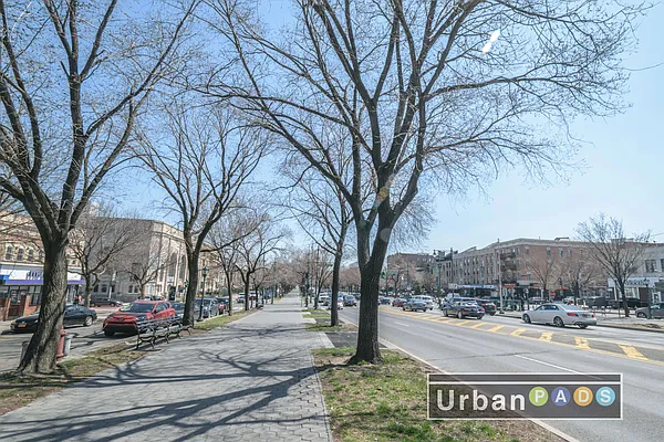 Rented by Urban Pads | media 45