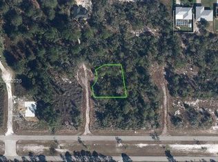 Placide Lakes Sec 19, Lake Placid, FL 33852