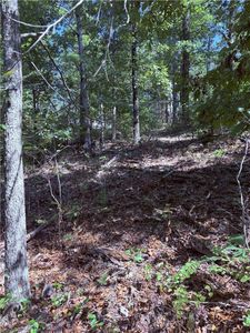 41 Hawnby Ln, Bella Vista, AR, 72715