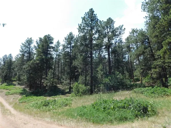 4480 Delaware Drive, Larkspur, CO 80118