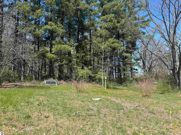 E Division St, Cadillac, MI 49601