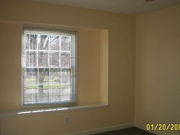 Bay Windows