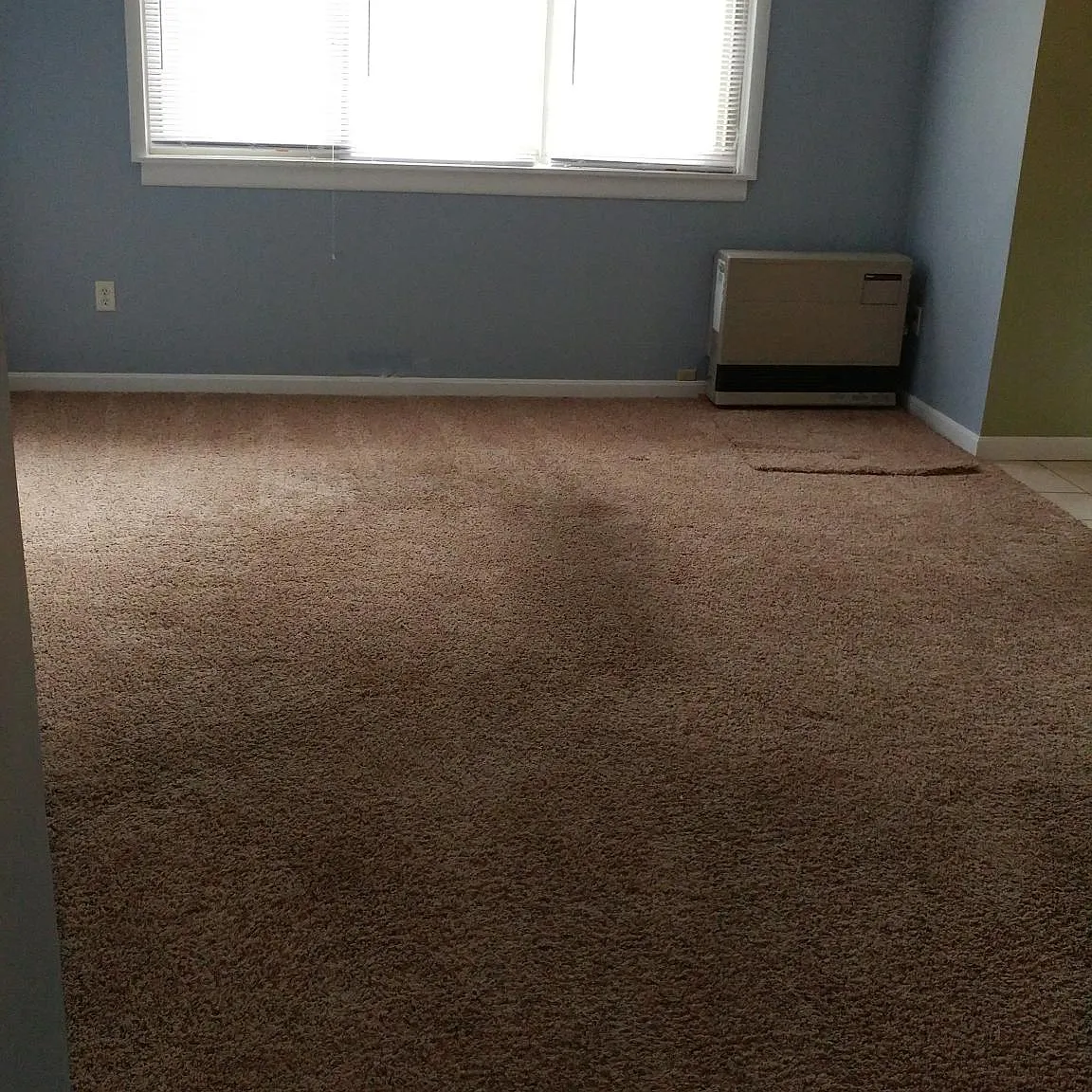 2 bed, 960 sqft, $1,950 — Photo 4