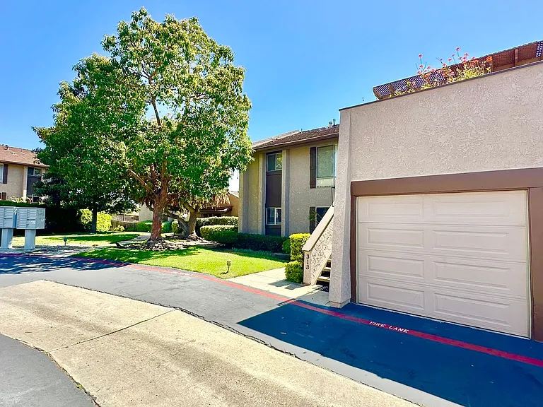 309 Ivy Ter — Photo 24