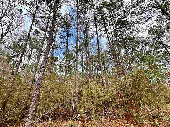 2nd image of 1 Hinton Rd