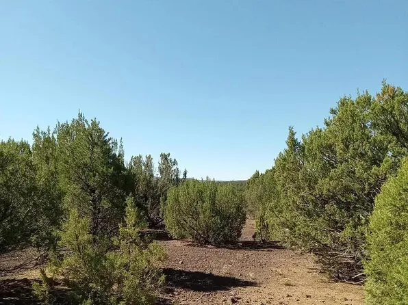 0 Vernon County Rd, Vernon, AZ 85940