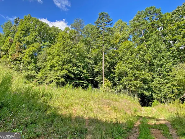 0 Falling Pines Rd Office Of, Dahlonega, GA 30533