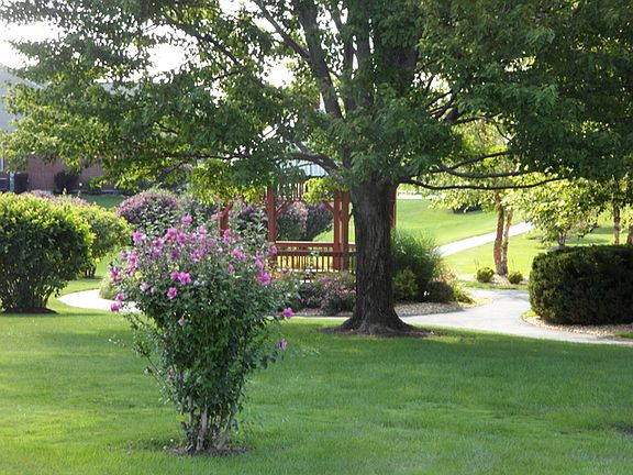 5th image of 9451 Dunmurry Dr