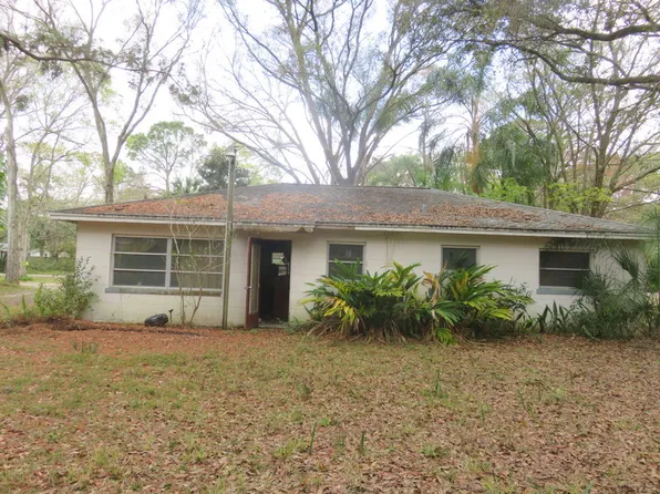 3093 Duane Ave, Oldsmar, FL 34677