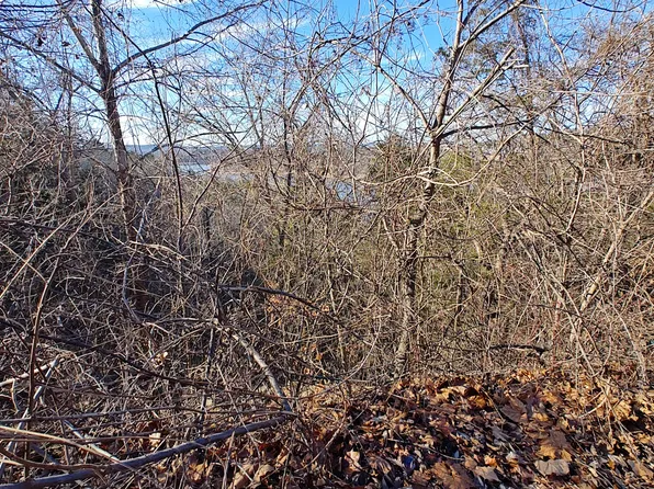 Lot 54 Skylee Drive, Hollister, MO 65672