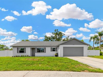 10811 Providence Oaks Dr, Riverview, FL, 33578