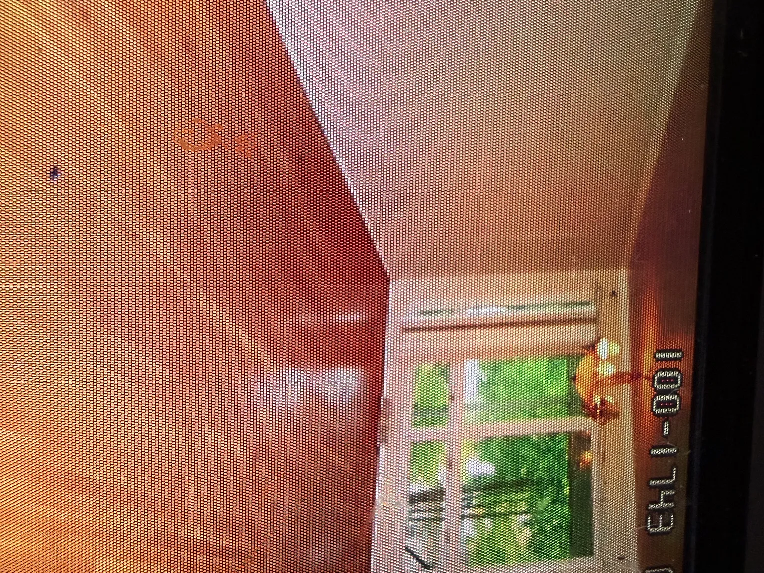 3 bed, 1.5 bath, 1008 sqft, $1,650 — Photo 2