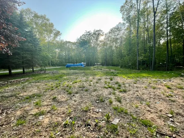 6854 W Beech Rd, Ludington, MI 49431
