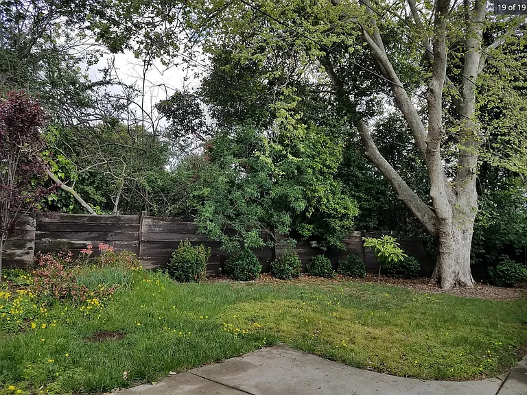back yard