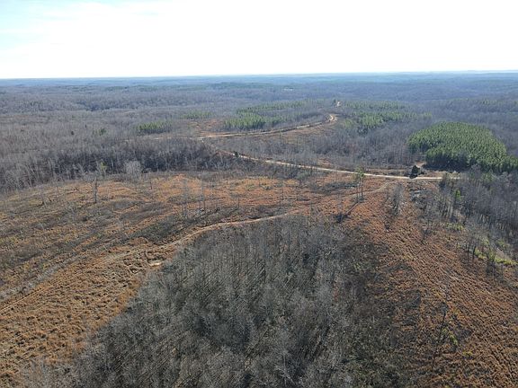 5th image of 0 N Fork Rd Lot 10