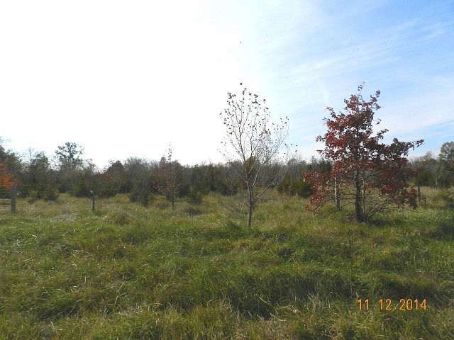 1st image of Hala Ln