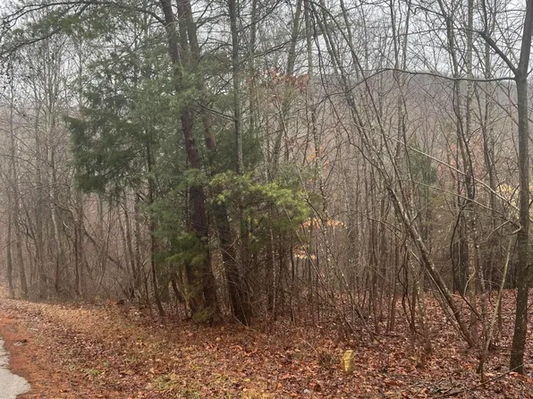 310 Clayton Lyons Rd, Monticello, KY 42633