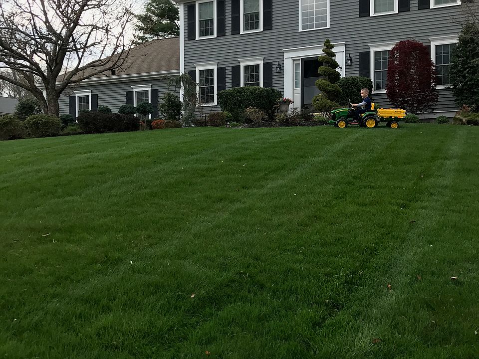 2nd image of 53 Millbrook Dr