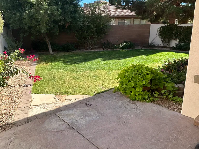 Covered patio view of backyard