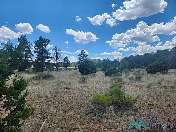 2nd image of 65 Laguna Largo Cir