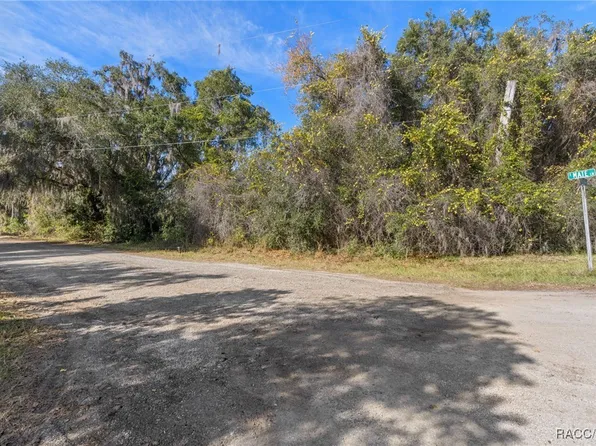 4351 E Mate Ln, Hernando, FL 34442