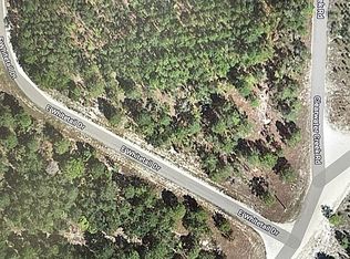 Jody Morgan Rd, Lutz, FL 33548