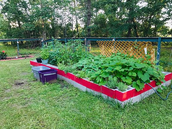 Vegetable Garden