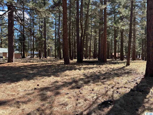 687-650 Maple Way, Susanville, CA 96130