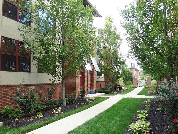 Lush Landscaping