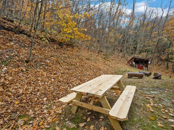49 Dandelion Ln, Banner Elk, NC 28604