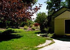 Section of backyard