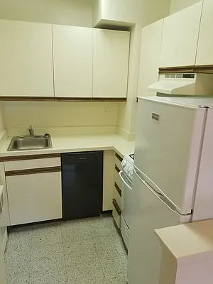 Rented by Manhattan Apartment Organization | media 16