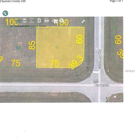 2nd image of 19 Chinaberry Way