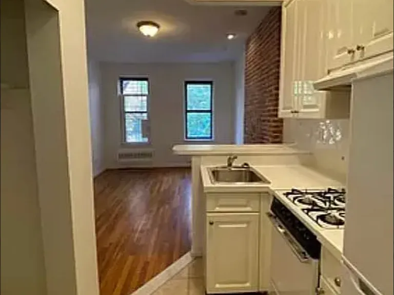 534 E 83rd St #1B — Photo 3