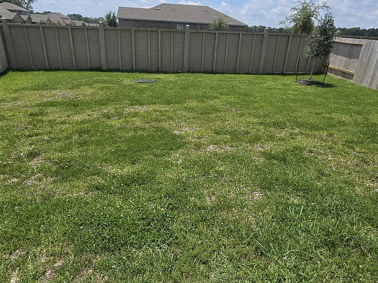 25597 Rose Creek Dr — Photo 20