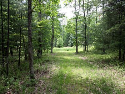 Lot 23 Serenity Drive, Callicoon, NY, 12723